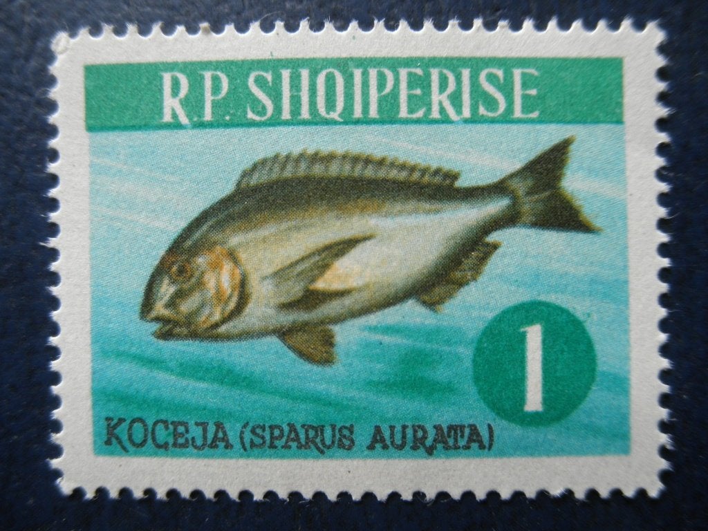 Postzegels Albanië 1964 nr. 810 vissen - cw 1,00 postfris., Ophalen of Verzenden, Overige landen, Postfris