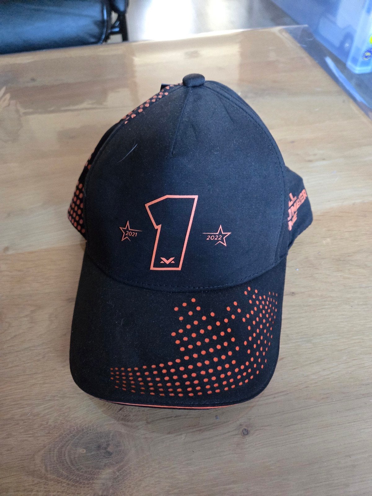 Max Verstappen World Champion Pet - Nieuw, Nieuw, Max Verstappen, Pet, One size fits all