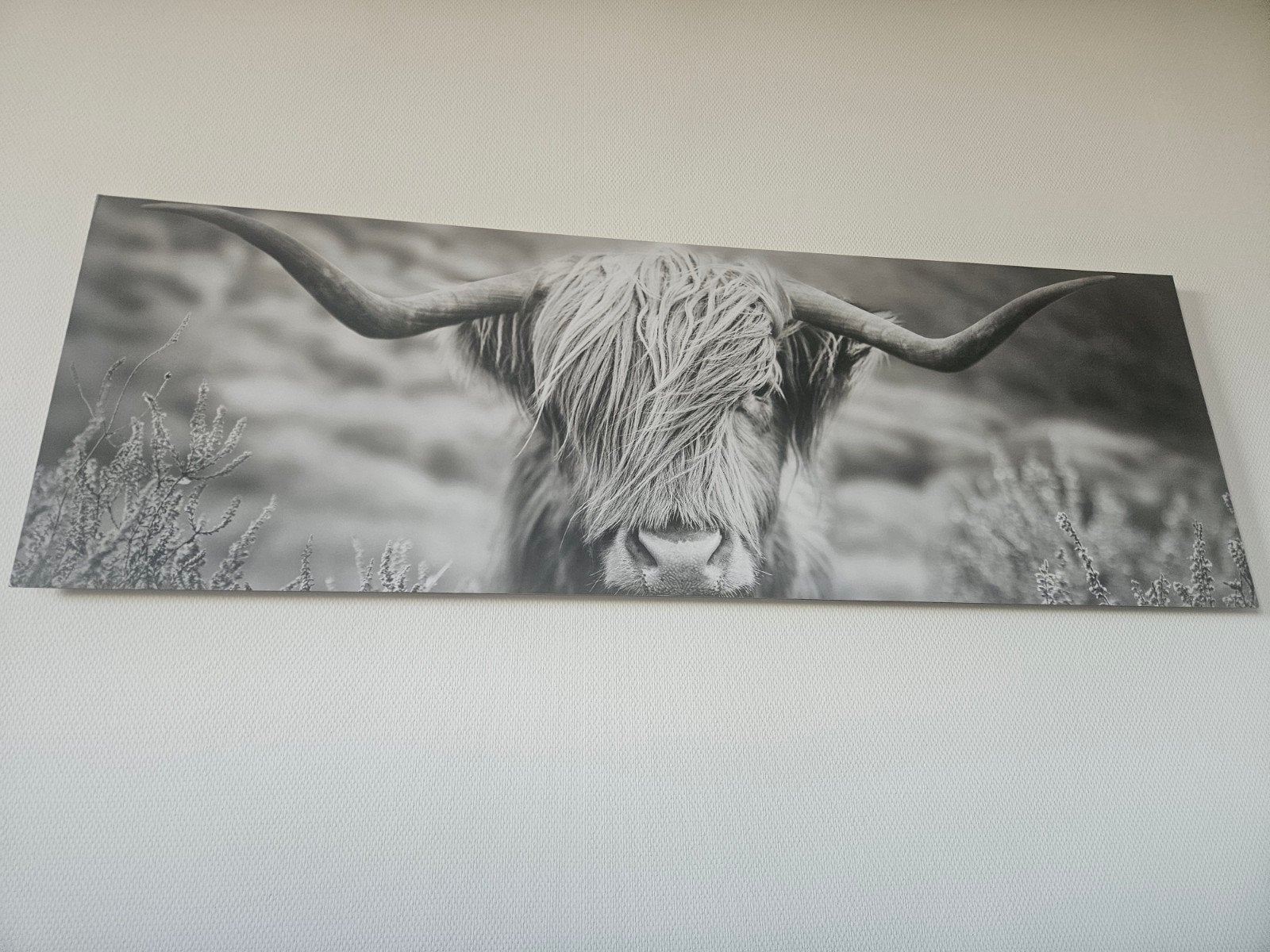 mooi foto schilderij, Ophalen