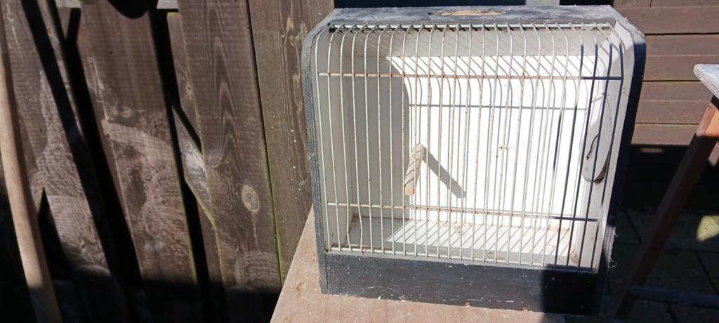 TT kooi, Dieren en Toebehoren, Ophalen, 110 cm of meer, Minder dan 65 cm