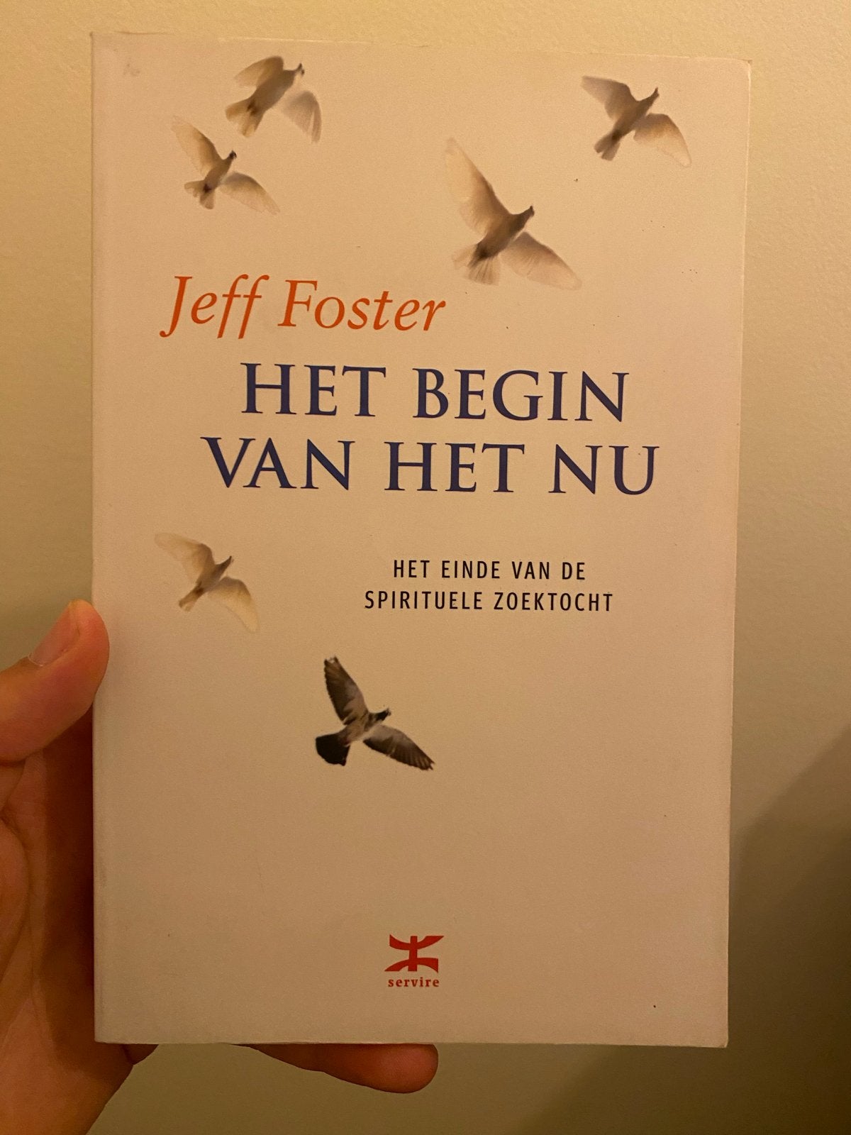 Het Begin van het Nu - Jeff Foster (Spiritualiteit), Boeken, Ophalen of Verzenden, Zo goed als nieuw, Spiritualiteit algemeen