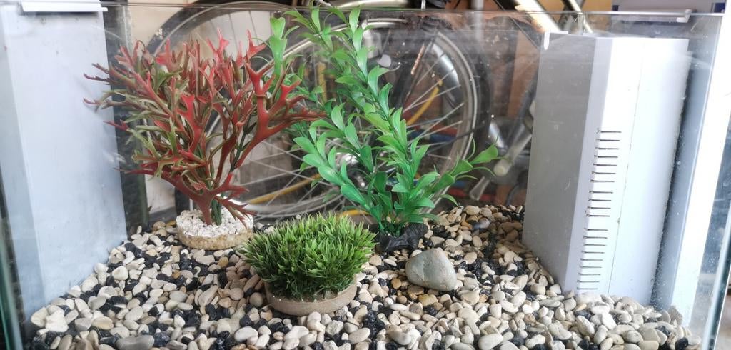Aquarium ornamenten / plantjes, Dieren en Toebehoren, Vissen | Aquaria en Toebehoren, Ophalen