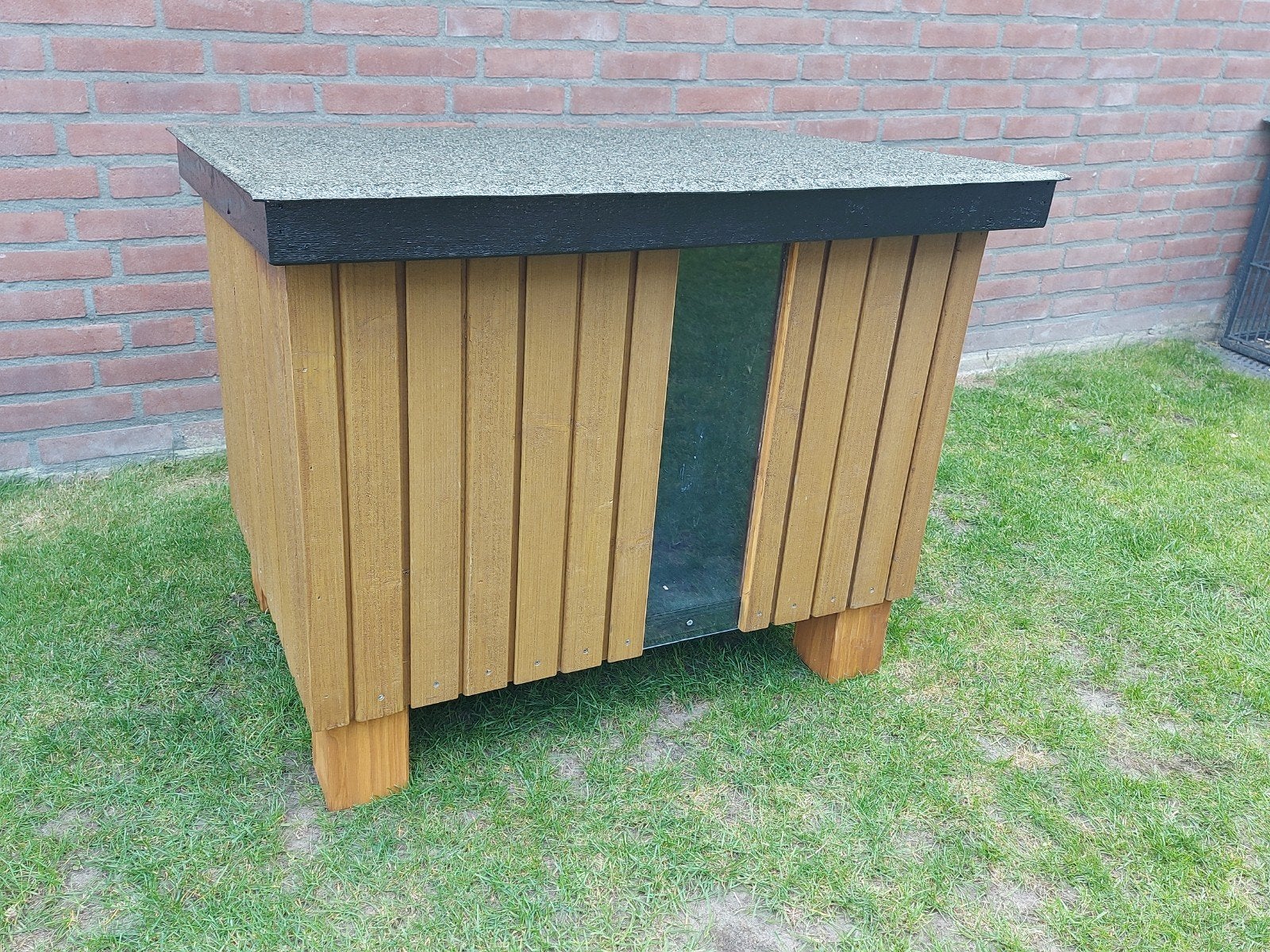 kip of konijnenhok, Vrouwelijk, Kip