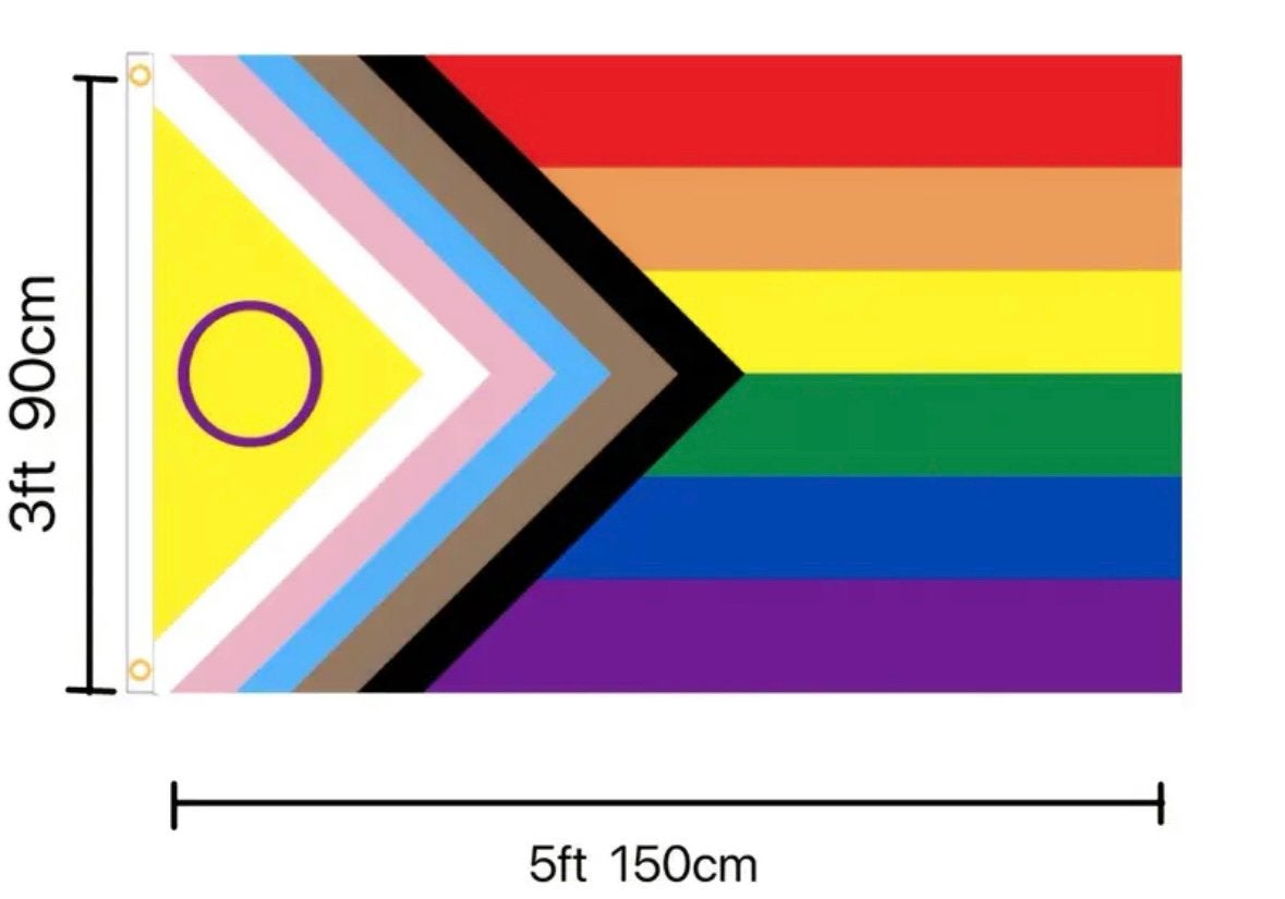 Pride vlag (Progress / Intersekse) NIEUW, Ophalen of Verzenden, Nieuw