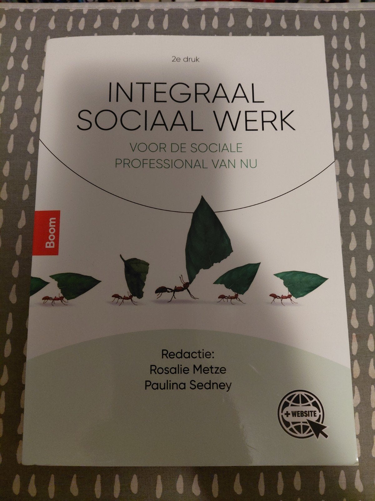 Integraal sociaal werk, Boeken, Ophalen of Verzenden, Zo goed als nieuw, Overige niveaus, Nederlands