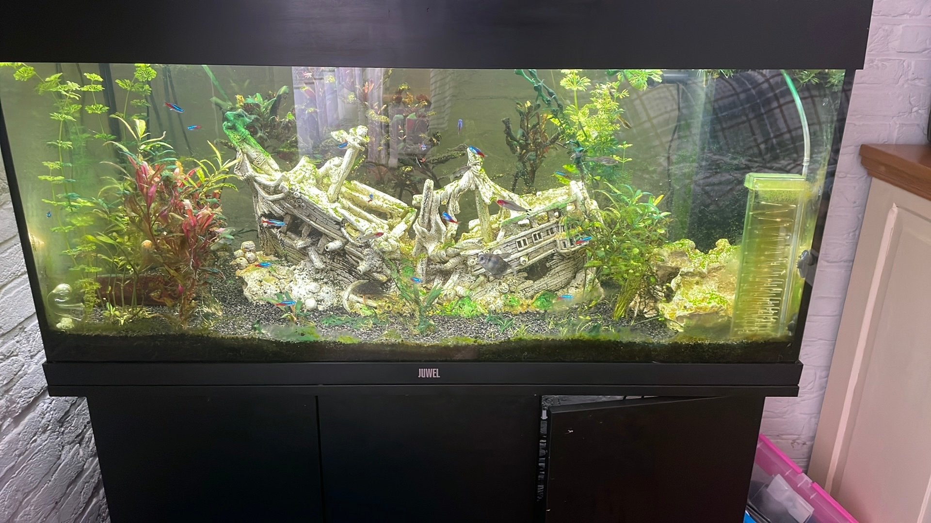 Aquarium 1 meter, Ophalen, Zo goed als nieuw, Leeg aquarium