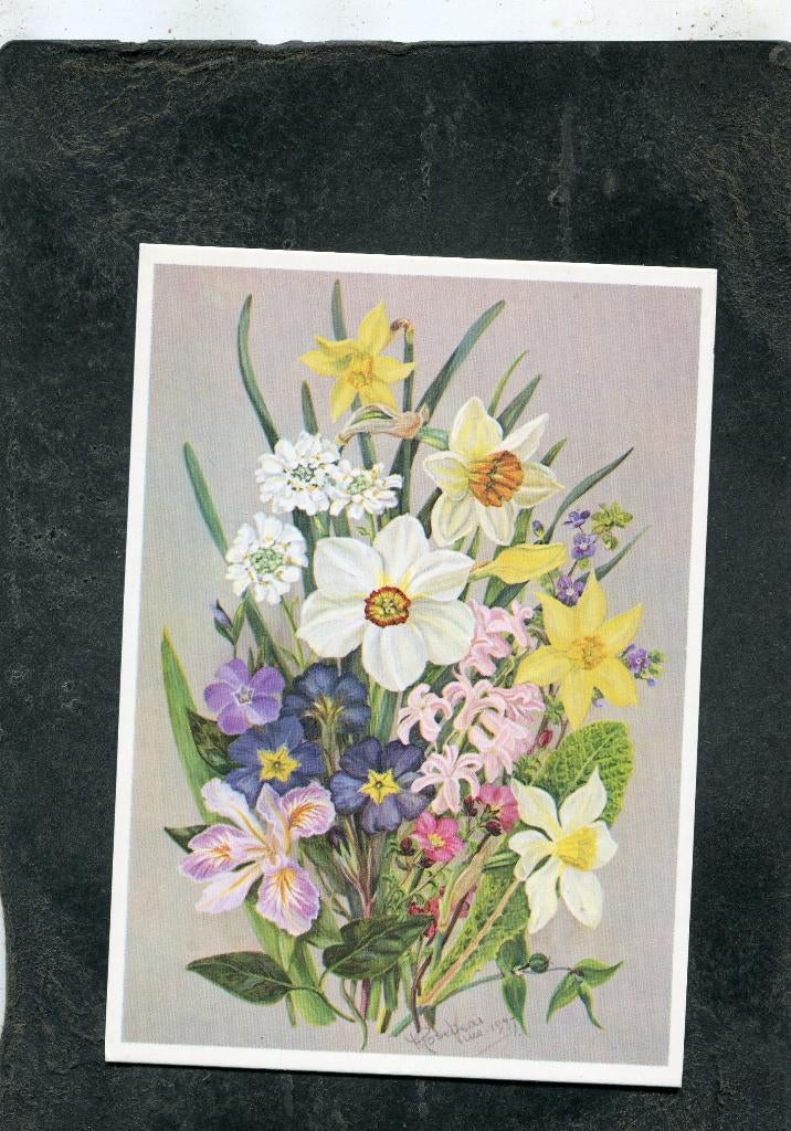 Ansicht M. Rosevaer Vine - Spring Flowers, Verzenden, 1980 tot heden, Ongelopen