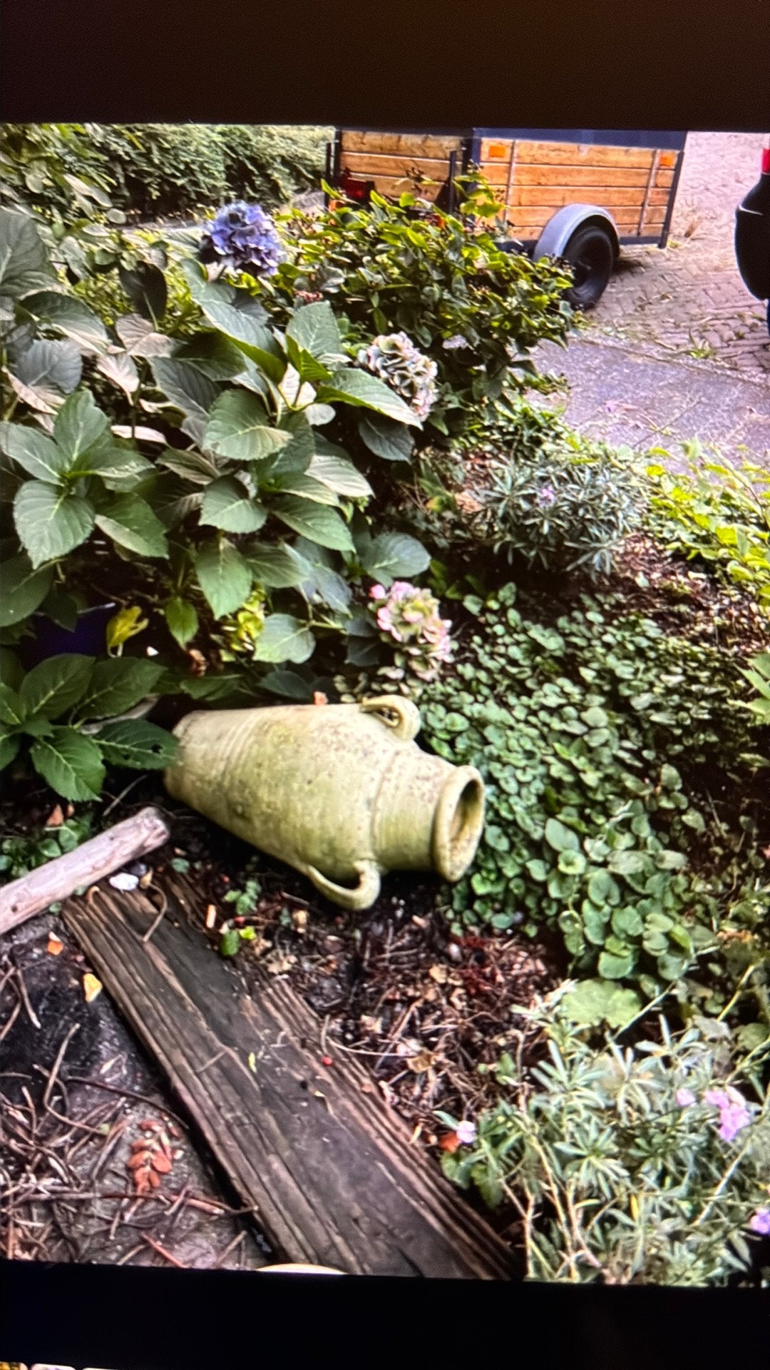 Gratis sier pot voor in de tuin, Ophalen, Gebruikt