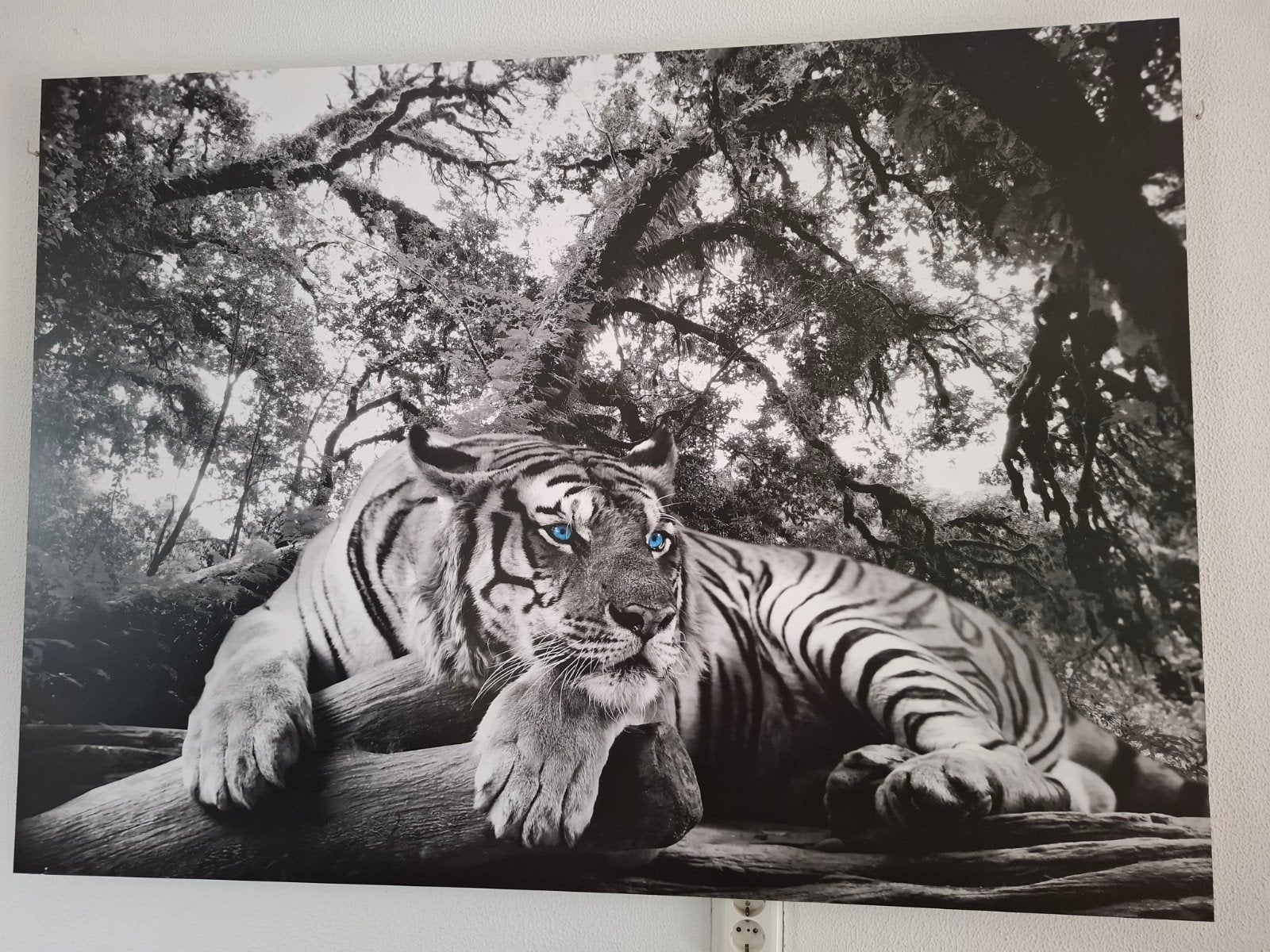 Groot canvas schilderij met tijger (135x100 cm), Ophalen, 125 cm of meer, Zo goed als nieuw, Schilderij