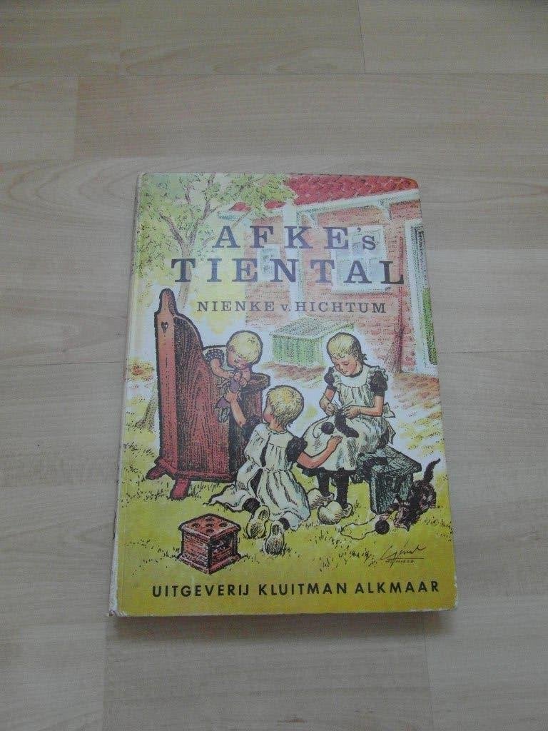 Afke’s Tiental van Nienke v. Hichtum  jaren 70, Gelezen, Nienke van Hichtum, Ophalen of Verzenden, Nederland