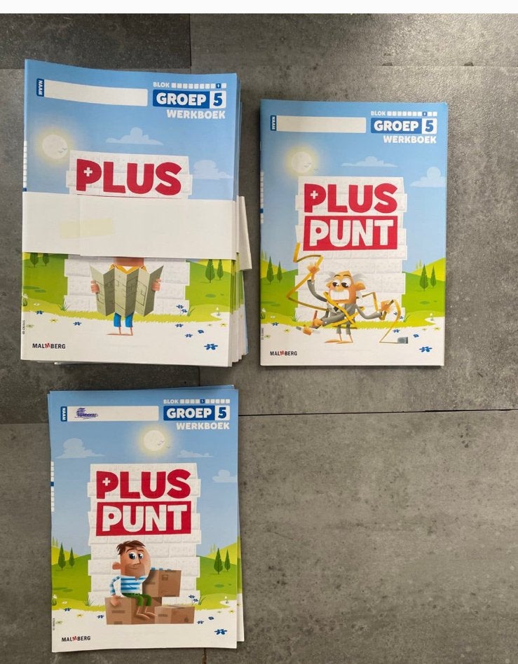 Pluspunt werkboeken groep 5, Ophalen of Verzenden, Nieuw, Overige niveaus
