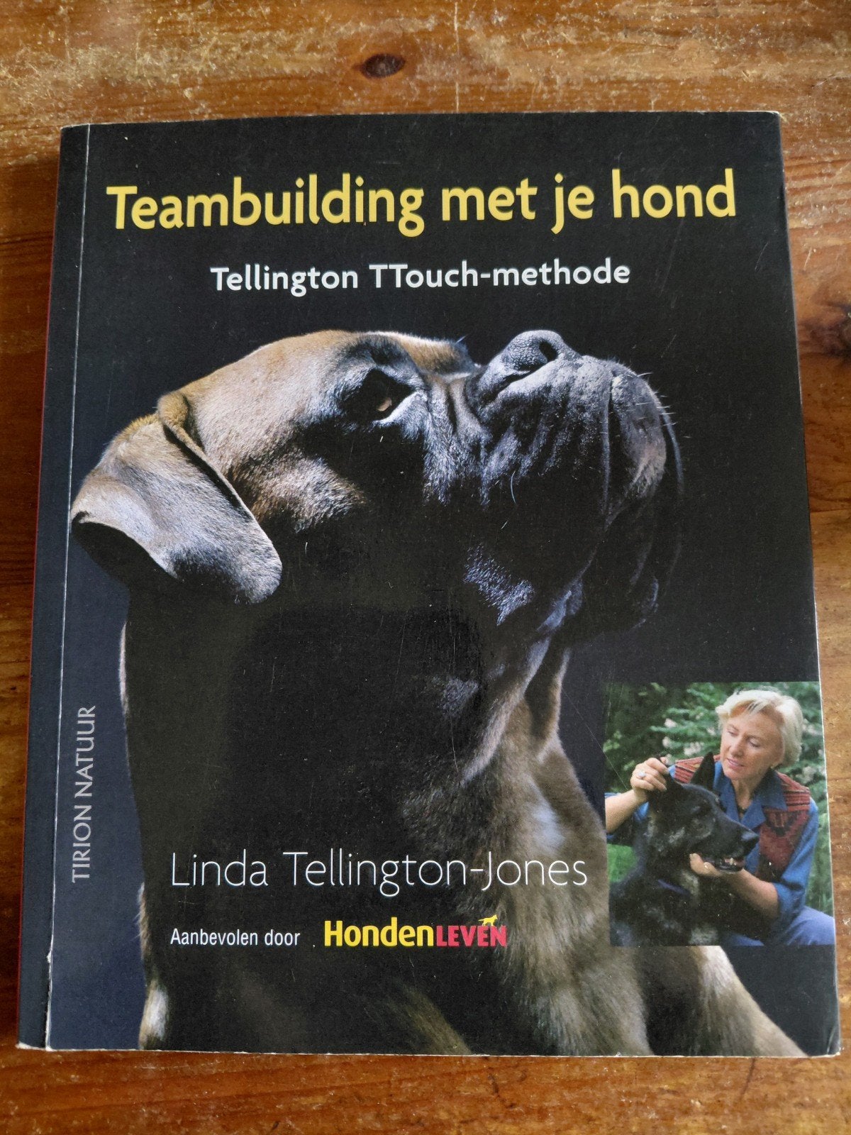 G. Braun - Teambuilding met je hond, Gelezen, Honden, G. Braun; L. Tellington-Jones, Ophalen of Verzenden