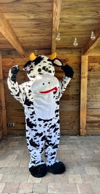 mascotte koe, leuk voor feestje of om een kado aan te bieden, Ophalen of Verzenden, Zo goed als nieuw, Overige