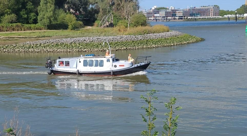 Stalen vlet. Ex-Parlevinker. 1935. 10,5m. 70 pk. Sabb., Watersport en Boten, Motorboten en Motorjachten, 10 m, Gebruikt, Diesel