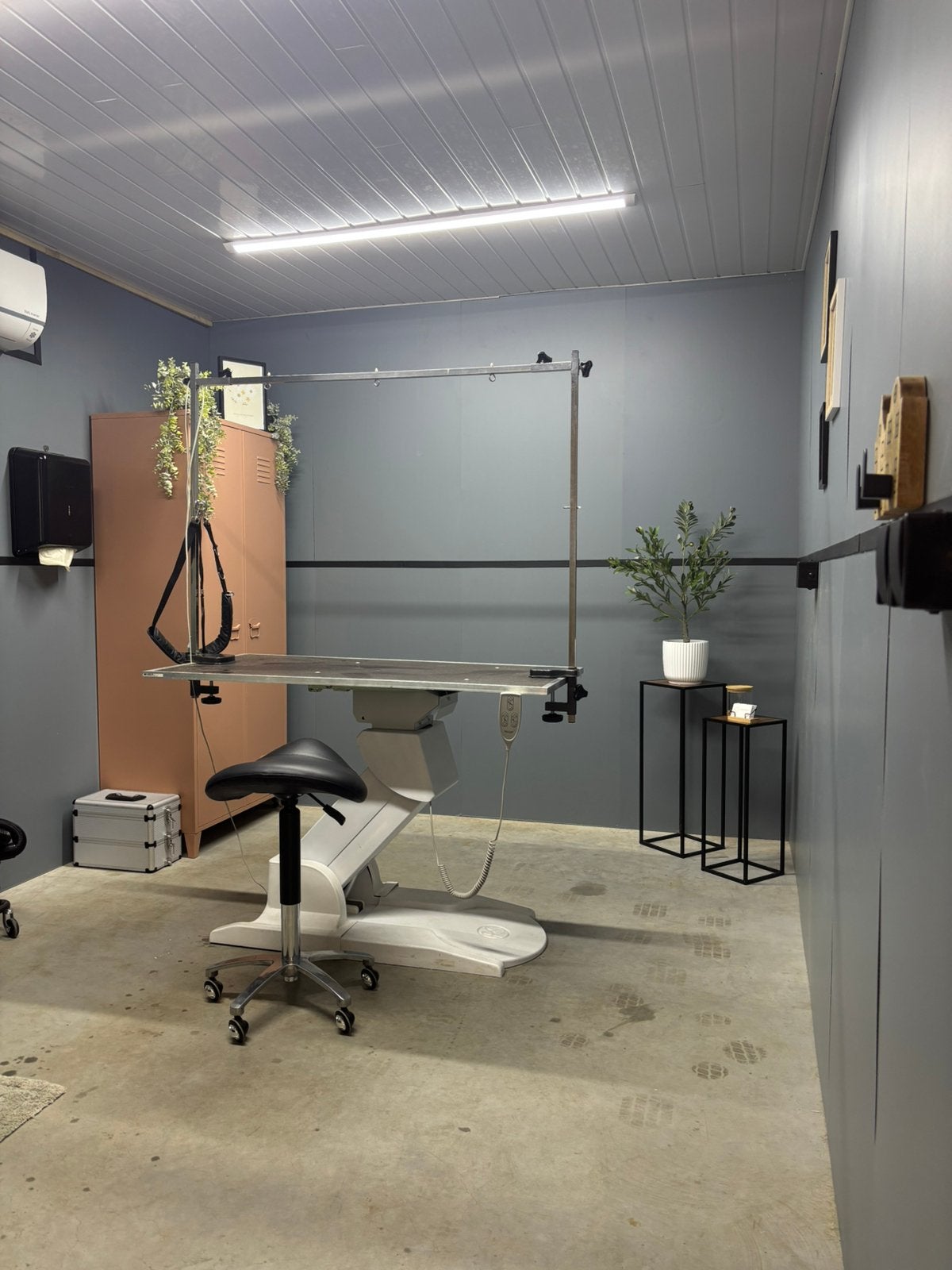 HondenTrimsalon De Mortel, Dieren en Toebehoren, Honden-accessoires, Nieuw, Ophalen