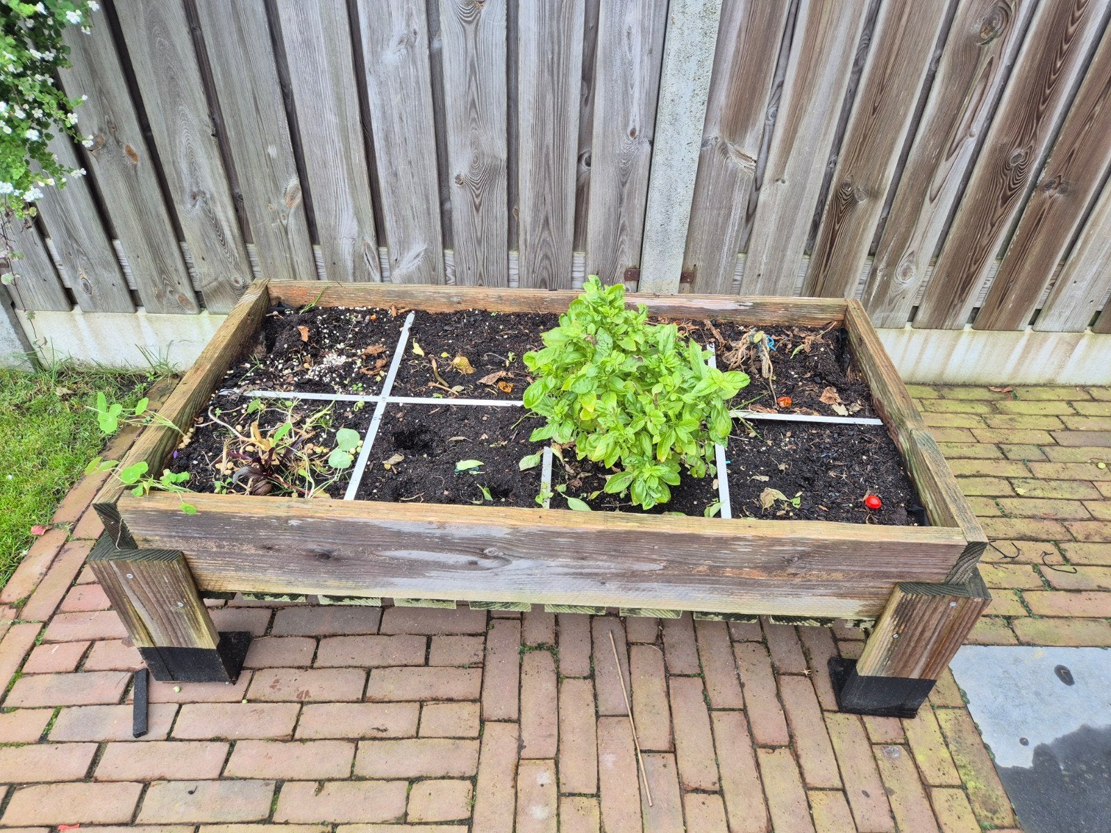 makkelijke moestuin bak, Ophalen, Gebruikt, Binnen, Rechthoekig