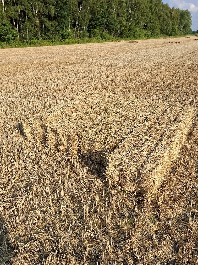 Stro balen, Dieren en Toebehoren, Ophalen, Vee