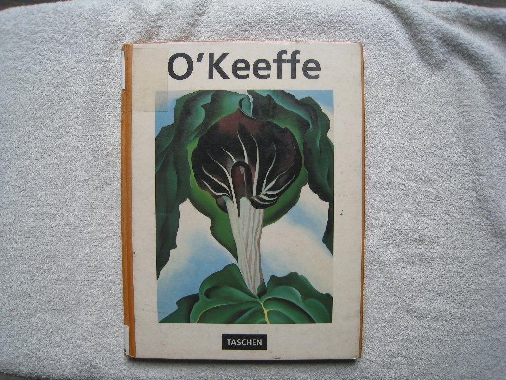 O’Keeffe: bloemen in de woestijn, Gelezen, Ophalen of Verzenden, Britta Benke, Schilder- en Tekenkunst