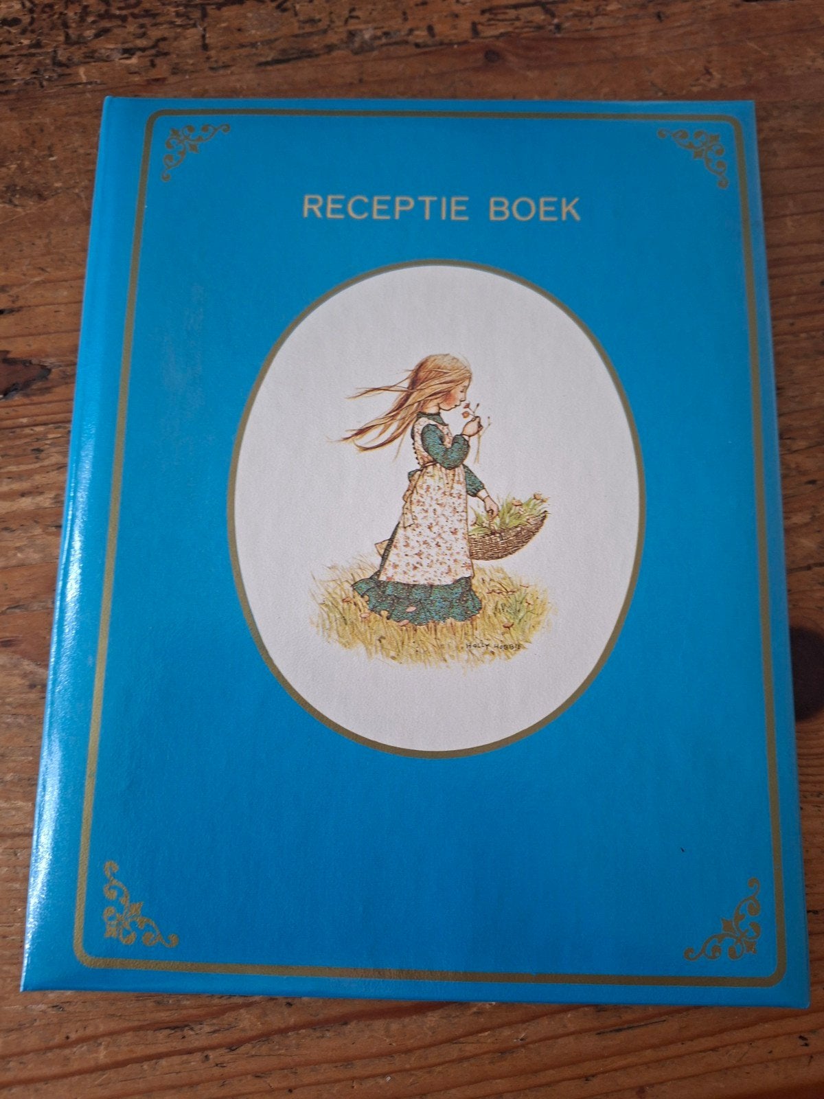 Holly Hobbie gastenboek - nieuwstaat, Ophalen of Verzenden, Nieuw