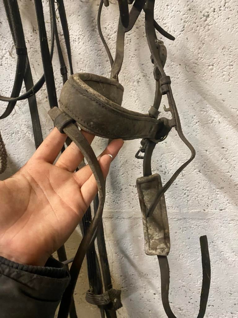 Hoofdstel te koop!, Ophalen, Zo goed als nieuw