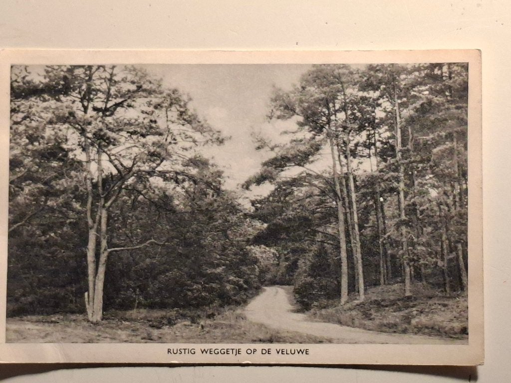 ansicht Veluwe, Ophalen of Verzenden, 1940 tot 1960, Gelopen, Gelderland