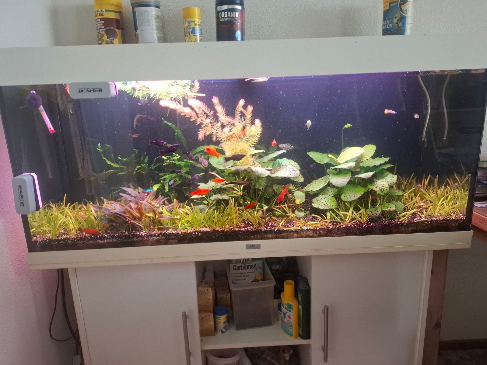 Aquaria alles compleet met vissen en planten, Dieren en Toebehoren, Ophalen of Verzenden, Zo goed als nieuw, Gevuld zoetwateraquarium