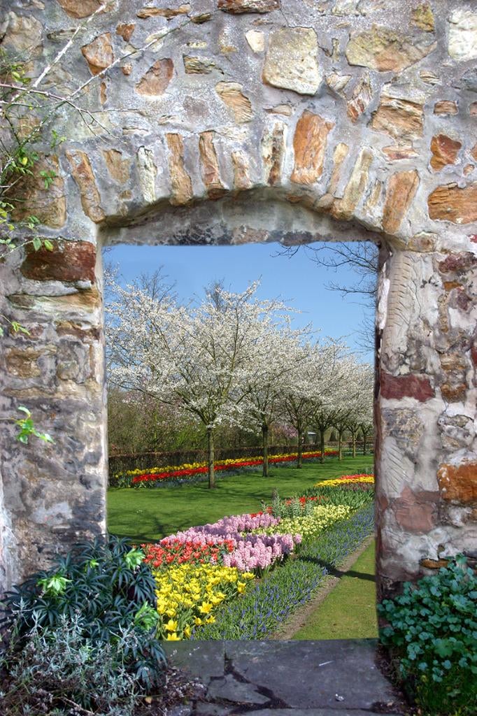 Tuinposter 200 x 133 cm (h x br.), Tuin en Terras, Tuinwanddecoratie, Verzenden, Nieuw