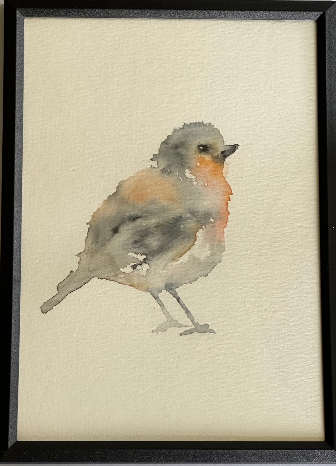 Roodborstje vogel aquarel, Aquarel, Ingelijst, Papier/karton, Ophalen of Verzenden
