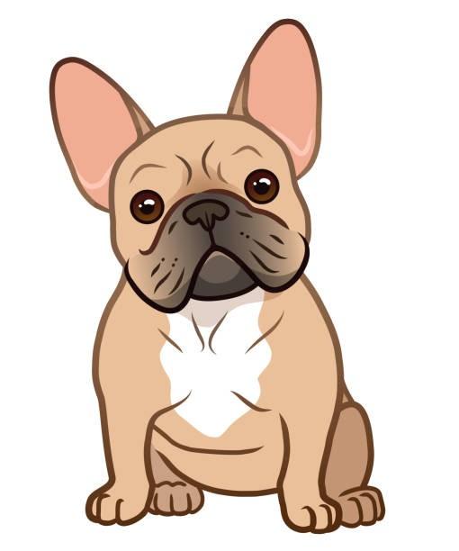 Honden oppas aangeboden, Dieren en Toebehoren, Ophalen