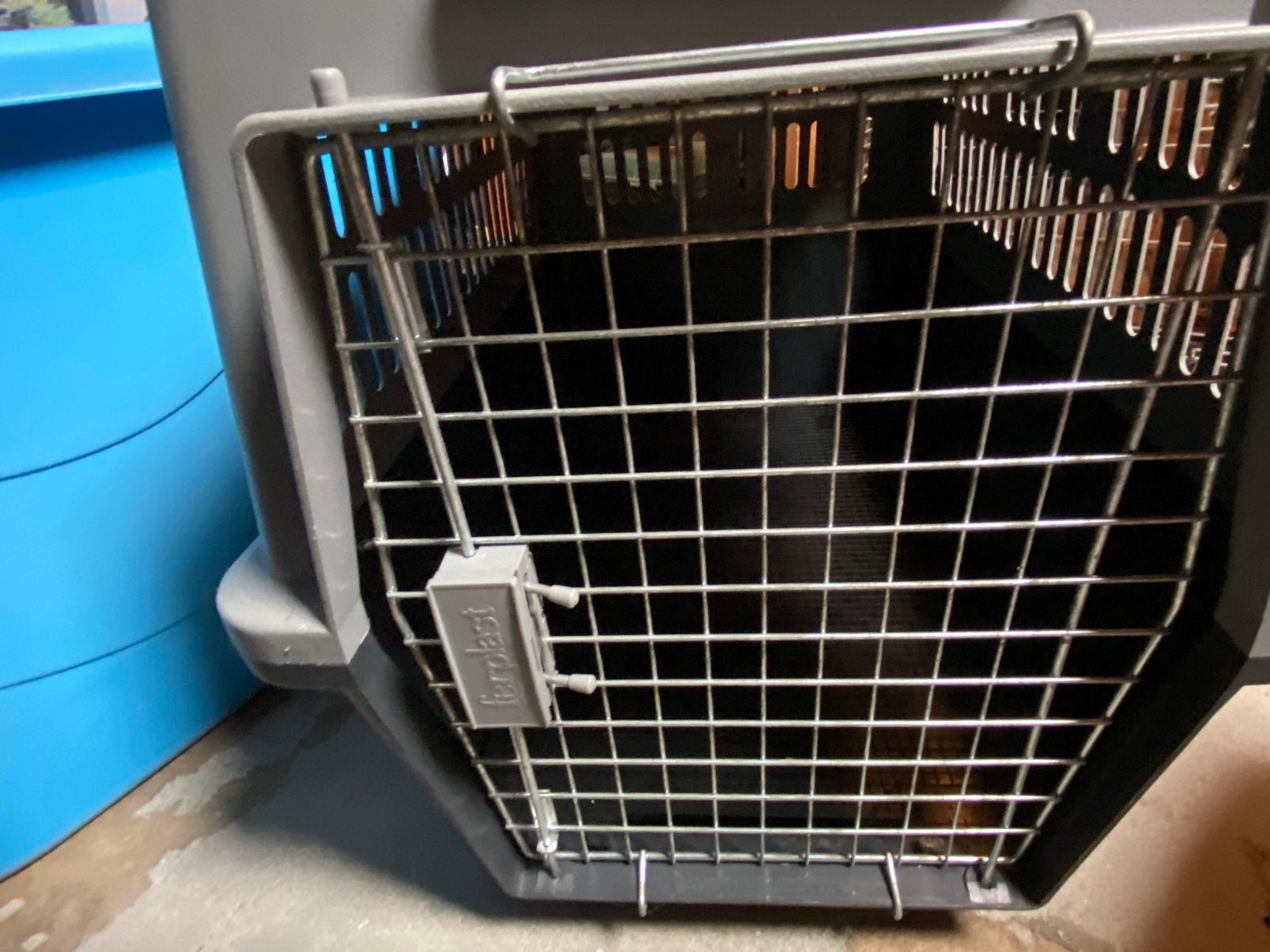 Te koop honden transportbox, Ophalen, Gebruikt, Minder dan 65 cm