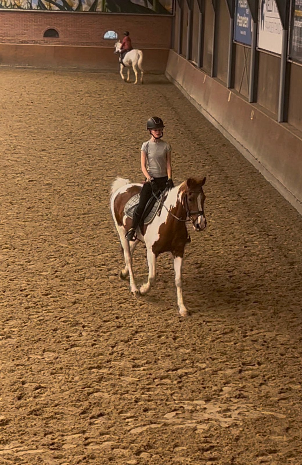 verzorgster aangeboden/verzorgpony gezocht, Ophalen of Verzenden, Nieuw