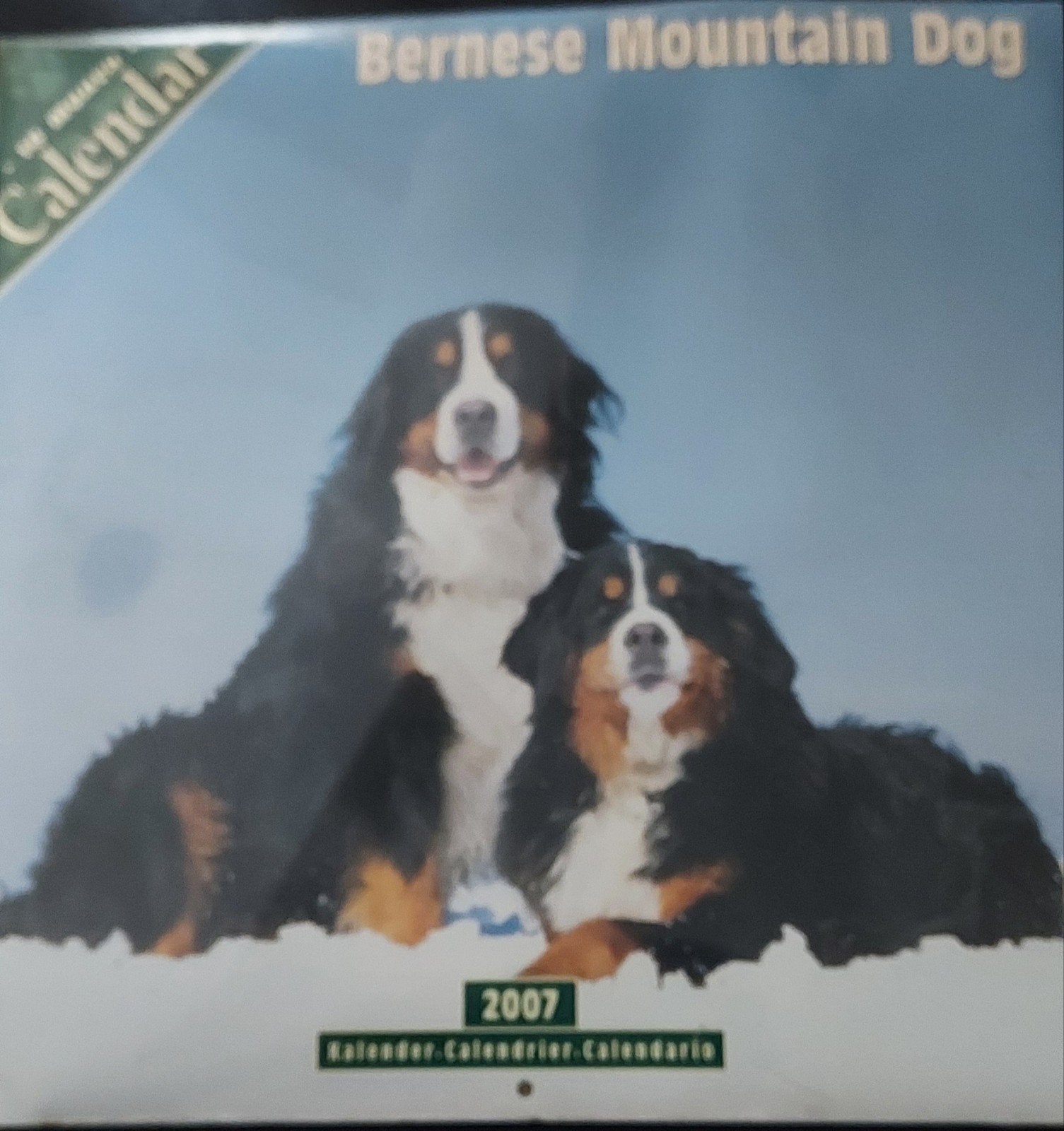 Kalender Berner Sennen 2007, Ophalen, Maandkalender, Nieuw