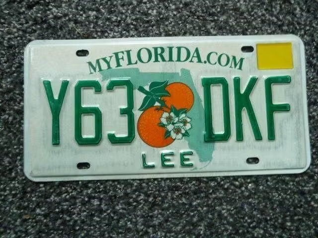 Kentekenplaat licenseplate Florida Lee USA, Verzenden, Gebruikt, Auto's