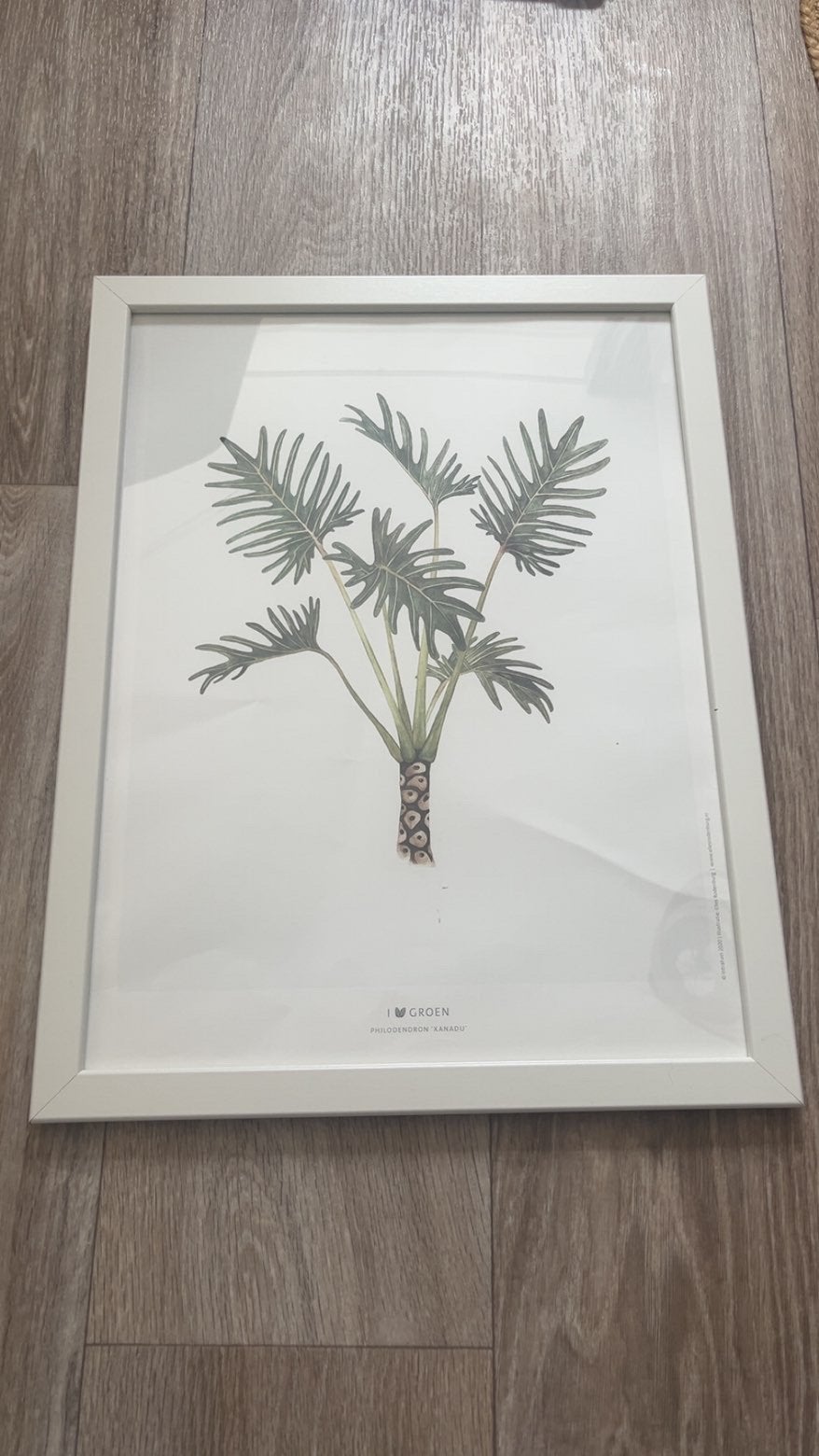 Fotolijst, Ophalen, 43 cm, Nieuw, Fotolijst