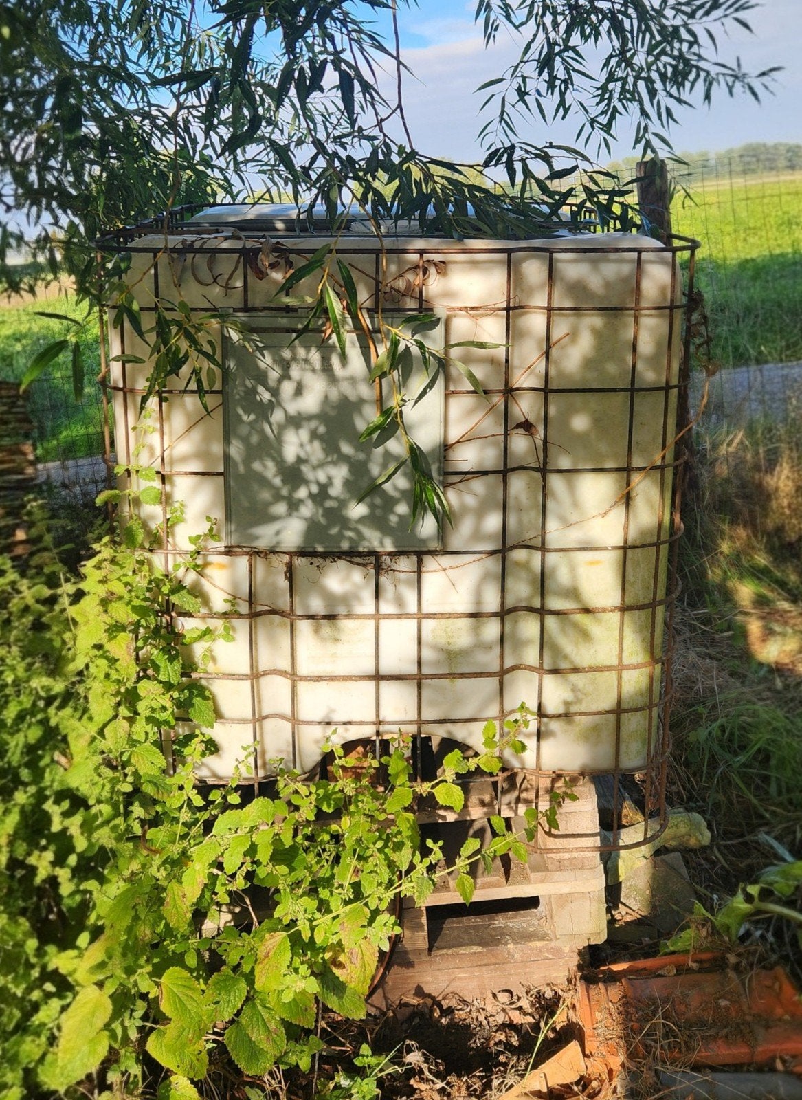 GRATIS IBC container - staat in de weg, Ophalen, Gebruikt
