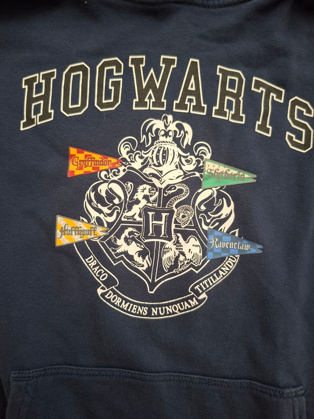 H&M Hogwarts Quest Hoodie Maat 146/152, Jongen of Meisje, Trui of Vest, H&M, Ophalen of Verzenden