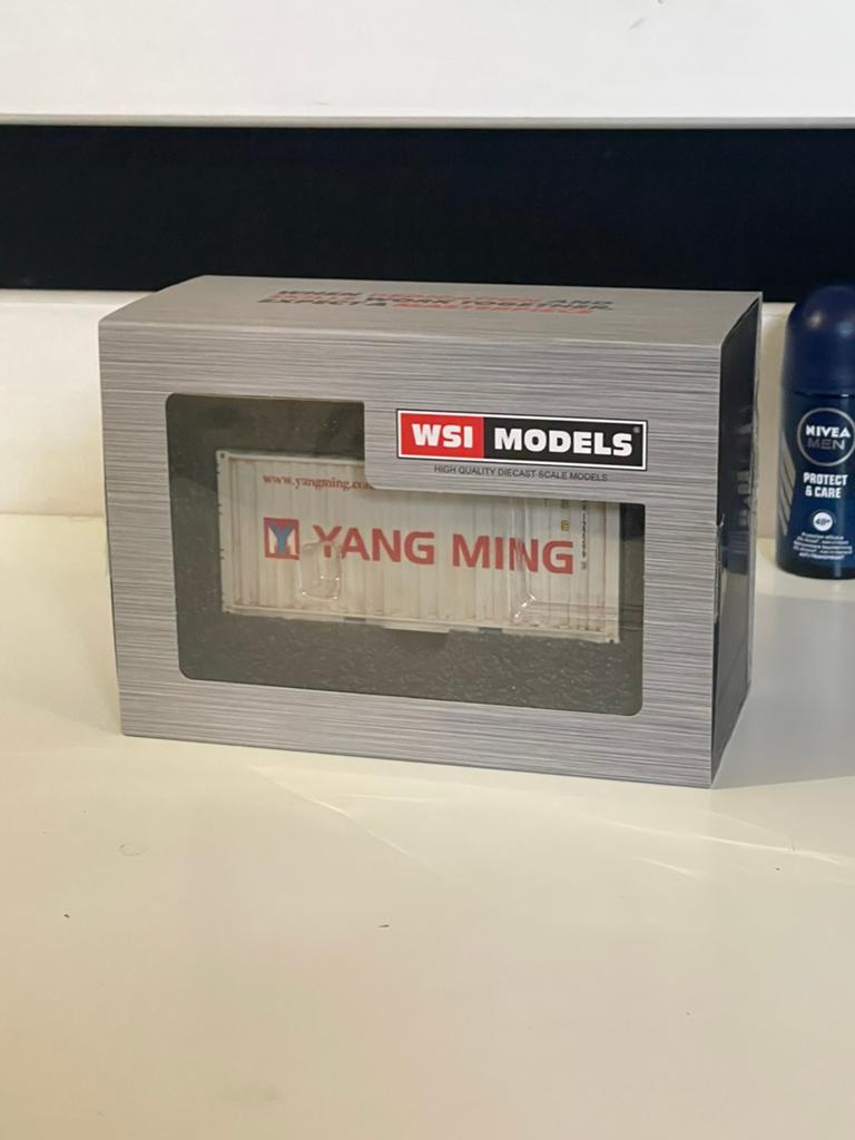 [WSI] Yang Ming 20ft Container Verweerd, Hobby en Vrije tijd, Modelauto's | 1:50, Ophalen of Verzenden, Zo goed als nieuw, Bus of Vrachtwagen