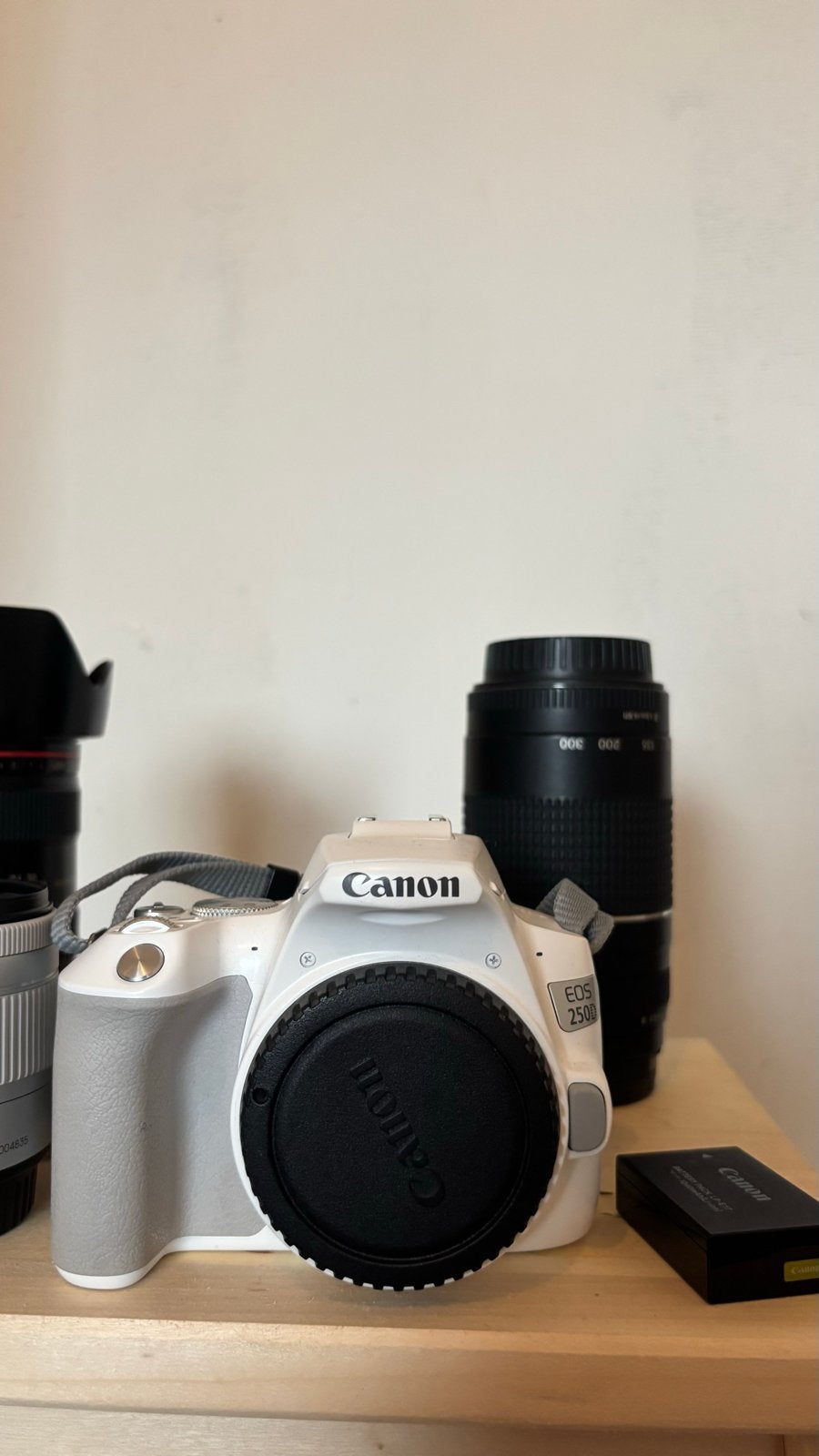 Canon EOS 250D met 18-55mm kitlens, Ophalen, Gebruikt, Spiegelreflex, Canon