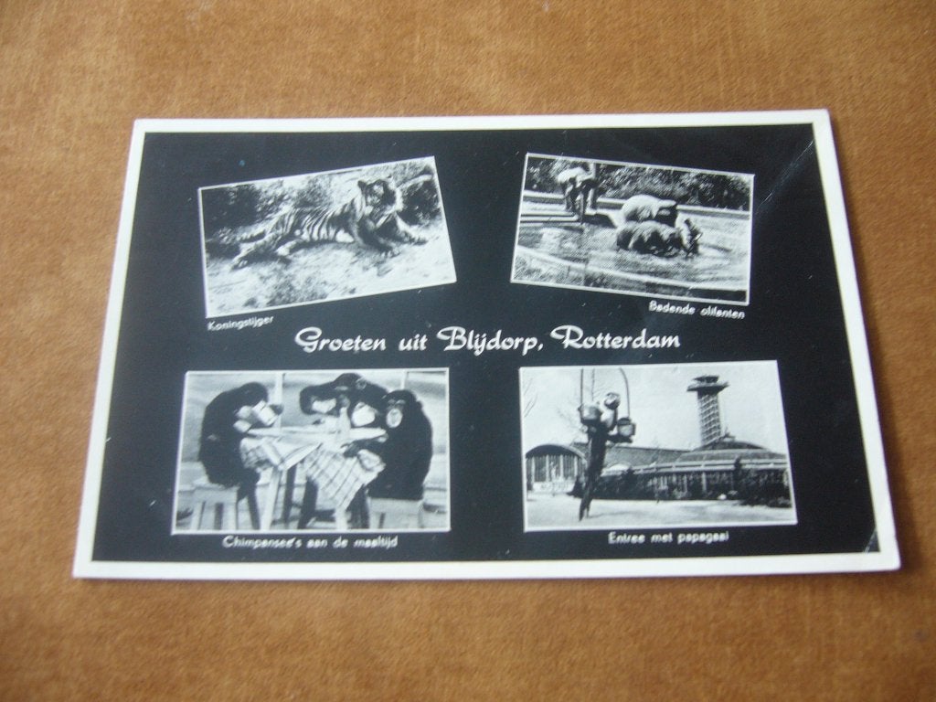 ROTTERDAM  =  4 LUIK VAN DIERGAARDE BLIJDORP, Ophalen of Verzenden, 1940 tot 1960, Gelopen, Zuid-Holland