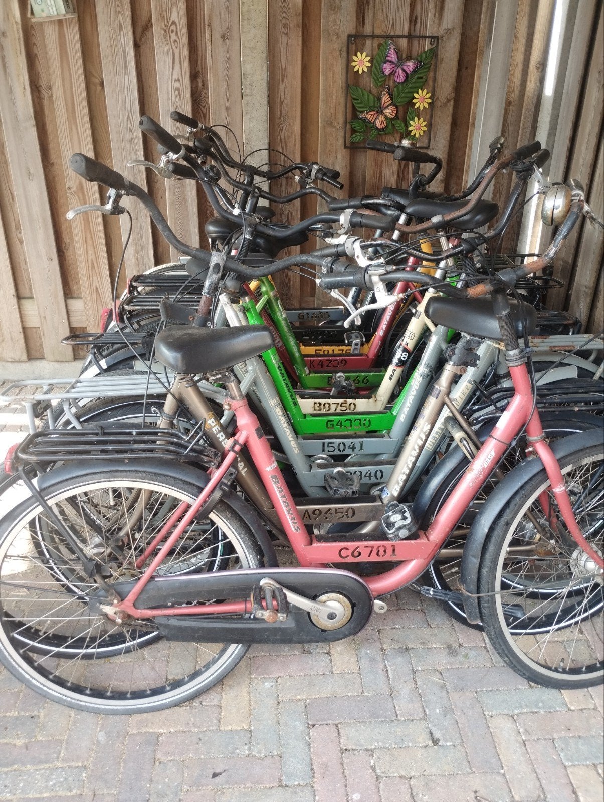 partij Batavus personal bike, 53 tot 56 cm, Ophalen, Gebruikt, Batavus