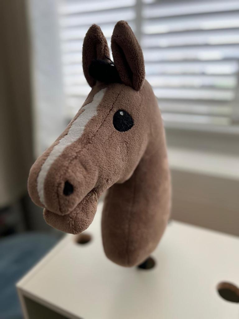 Hobbyhorse, Ophalen of Verzenden, Zo goed als nieuw, Jongen of Meisje