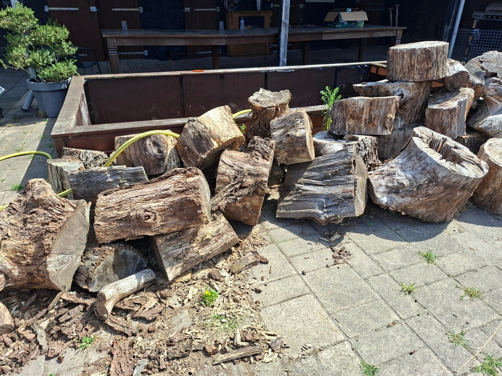 Diverse houtblokken voor brandhout of decoratie, 6 m³ of meer, Ophalen, Overige houtsoorten, Blokken