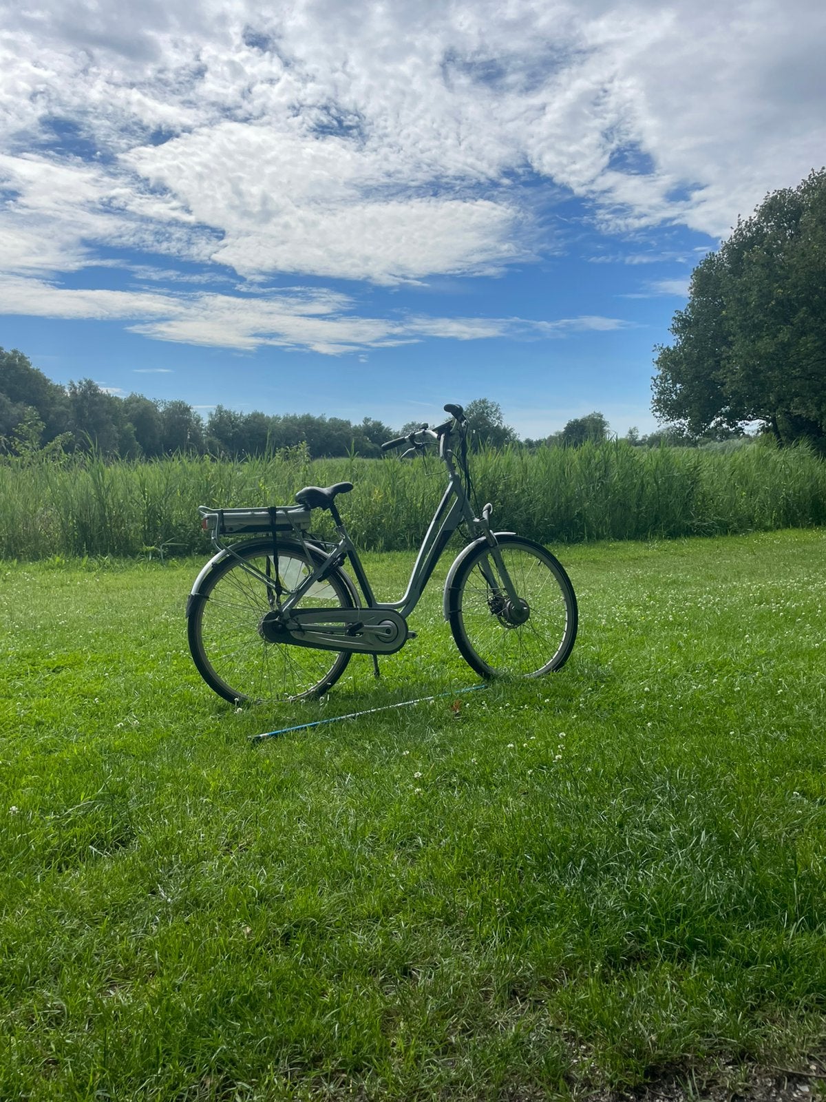 Amslod elektrische fiets / kleine defect /handige klusser, Ophalen of Verzenden, Zo goed als nieuw, Overige merken