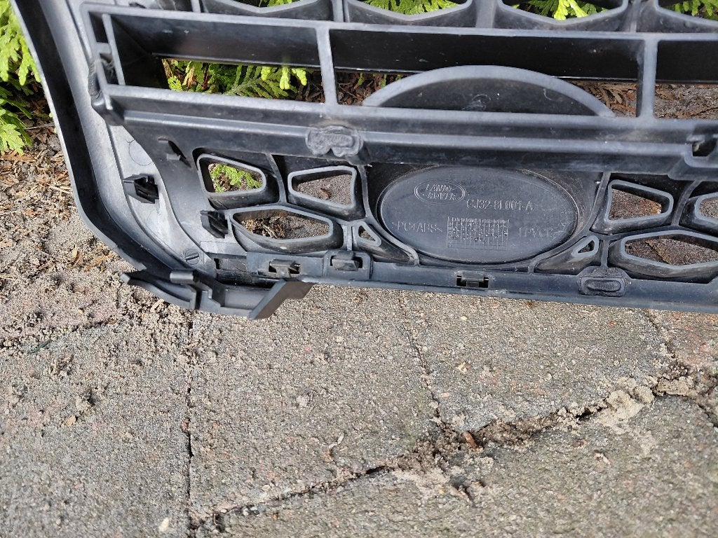 Auto Grille Range Rover Evoque, Ophalen of Verzenden, Gebruikt, Rover, Bumper