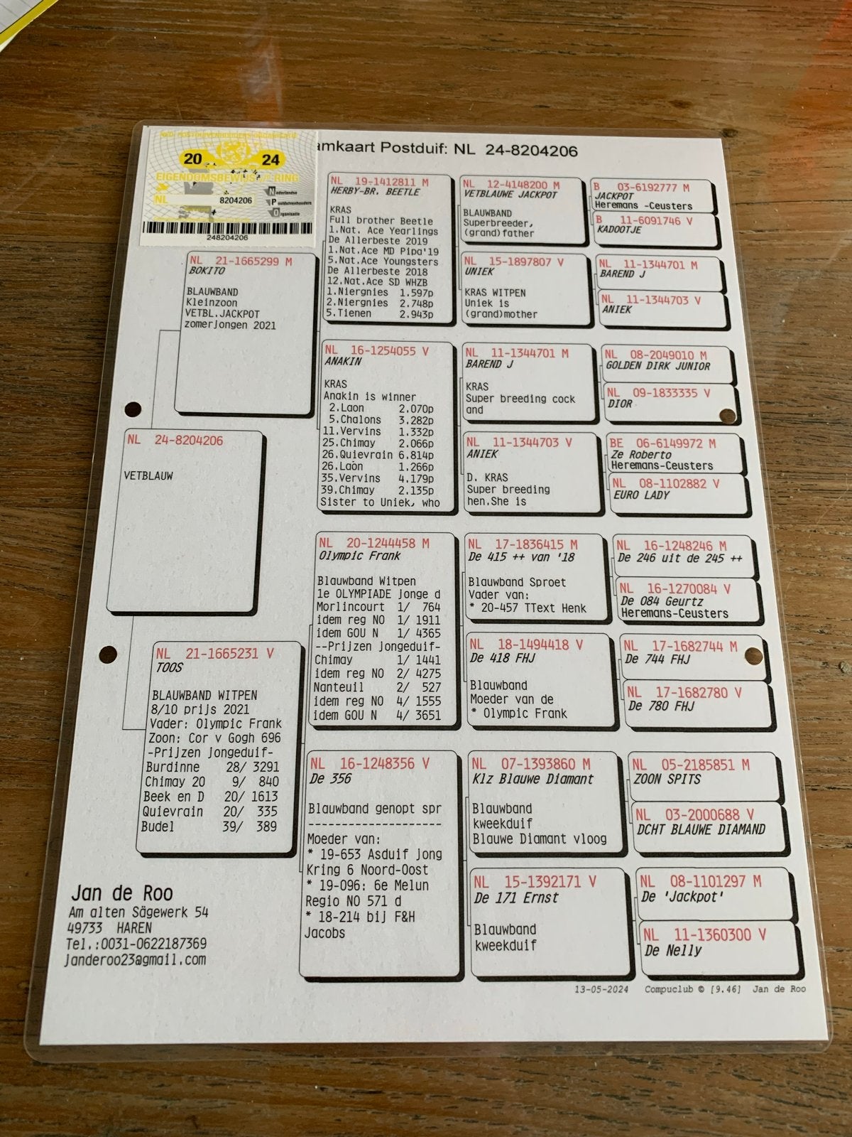 Rechtreekse doffer van- Eijerkamp paalman., Mannelijk, Postduif