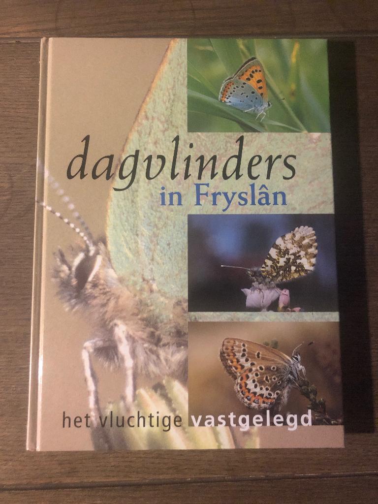 Dagvlinders in Frieslân.  Friesland, Ophalen of Verzenden, Zo goed als nieuw