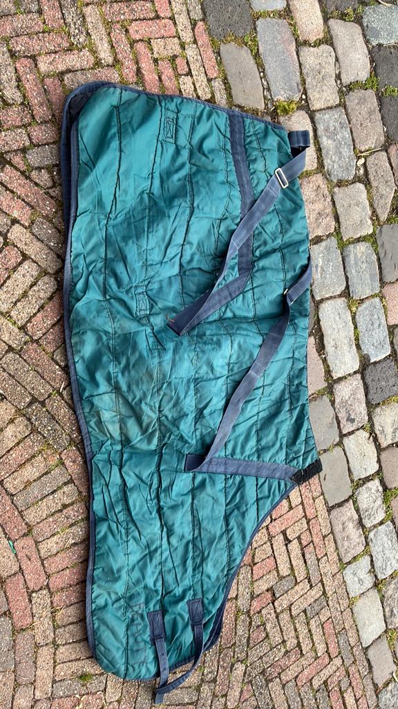 Regendeken voor pony165 cm, Dieren en Toebehoren, Paarden en Pony's | Dekens en Dekjes, Gebruikt, Overige merken, Cob (M), Ophalen of Verzenden