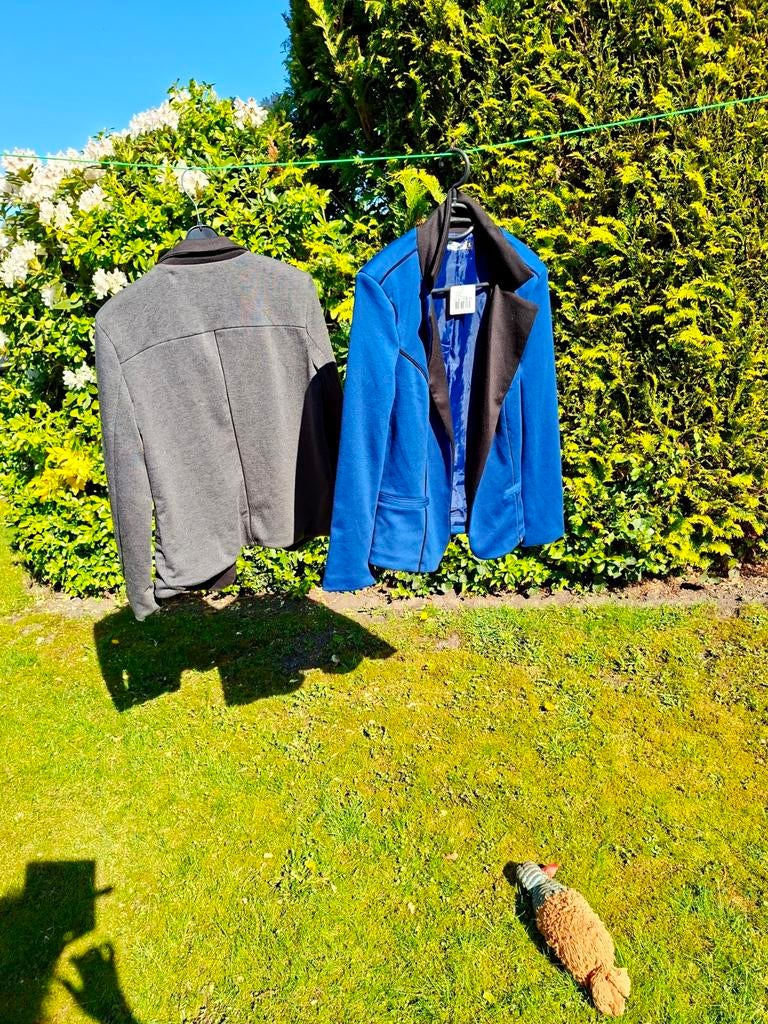 2 damesblazers maat L Samen 15 euro, Ophalen of Verzenden, Zo goed als nieuw, Blauw