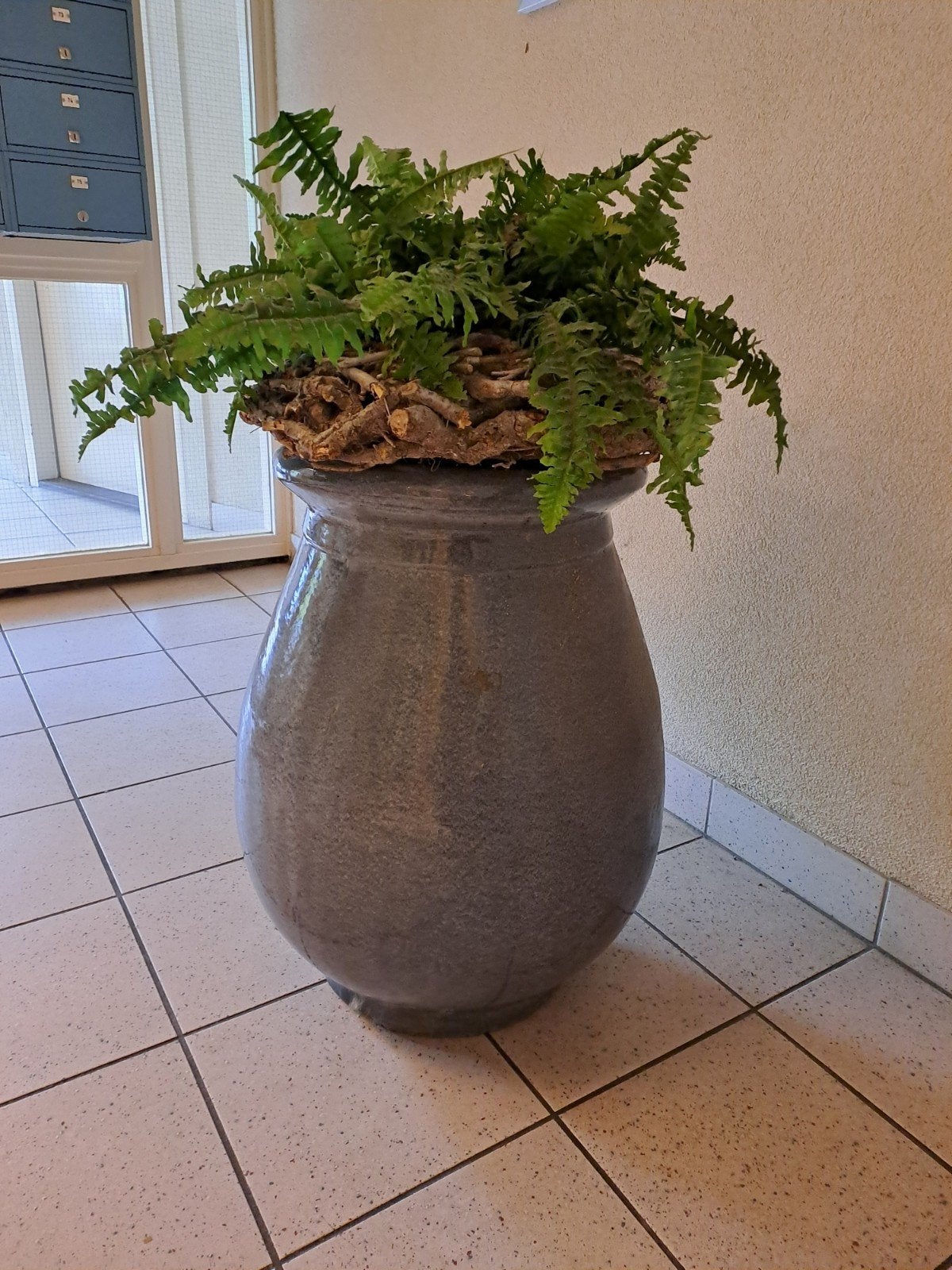 grote geglazuurde pot met kunstplant(varen), Ophalen, Zo goed als nieuw