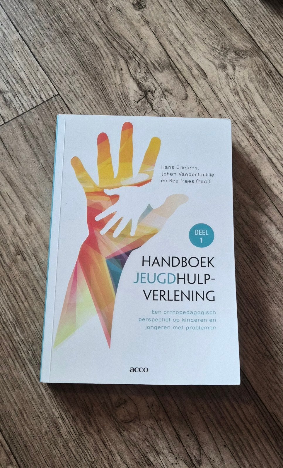Handboek Jeugdhulpverlening - Deel 1 (Orthopedagogisch), Boeken, Studieboeken en Cursussen, Zo goed als nieuw, Gamma, Hans Grietens, Johan Vanderfaeillie en Bea Maes (red.)